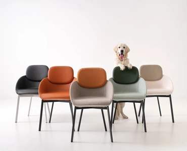 Sedia Tata Poltroncina di Pointhouse