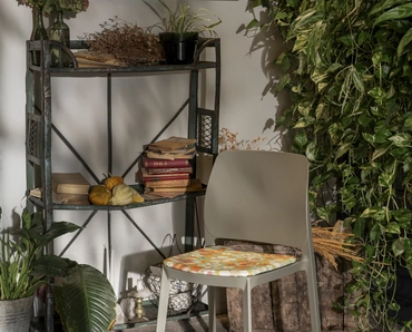 Sedia Tipa Ika Jane in polipropilene di Pointhouse